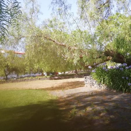 Апартаменты Casa Do Jardim Бежа Экстерьер фото