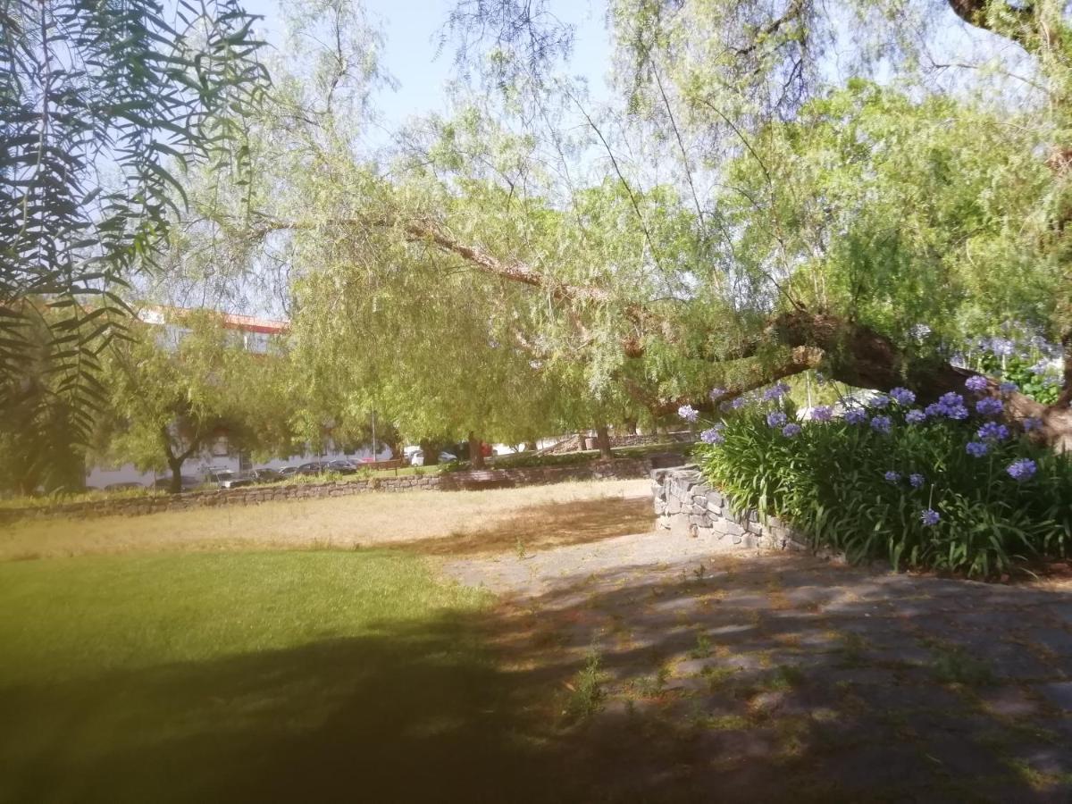 Апартаменты Casa Do Jardim Бежа Экстерьер фото